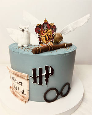 Tort z sową Harry Potter